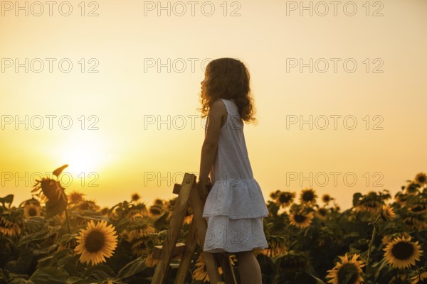 Happy child girl on the top of ladder, against sunflowers field at sunset. Kids dream