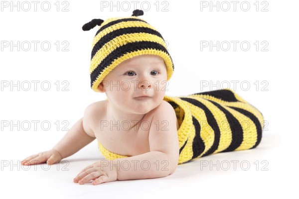 Isolated on white, cute happy caucasian baby boy in diaper and bee costume lies