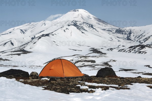 Orange camping (tourist) tent stands on meadow surrounded by snow at foot of beautiful active Avacha Volcano on Kamchatka Peninsula in Russian Far East