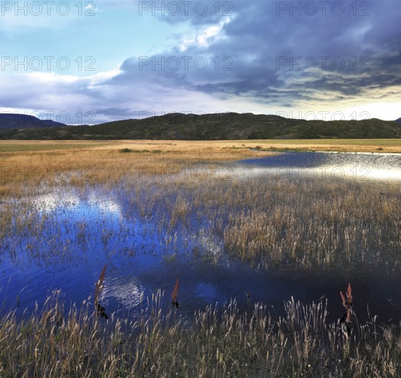 The valley is surrounded by mountains in the national park Torres del Paine, Chile. The sky is partially covered with low thunderclouds. Shallow lake, overgrown with reeds, reflects the blue sky