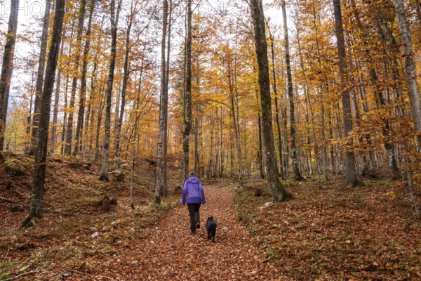 Hiking through the Vrata valley in autumn, Triglav National Park in the Julian Alps, Slovenia