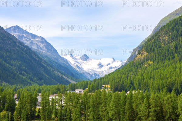 Beautiful View over the Swiss Alps with Glacier Morteratsch, Piz Bernina (4, 049 m), Piz Palü (3, 901 m), Piz Roseg (3, 937 m) and Bellavista in a Sunny Summer Day in Pontresina, Maloja, Grisons, Switzerland.