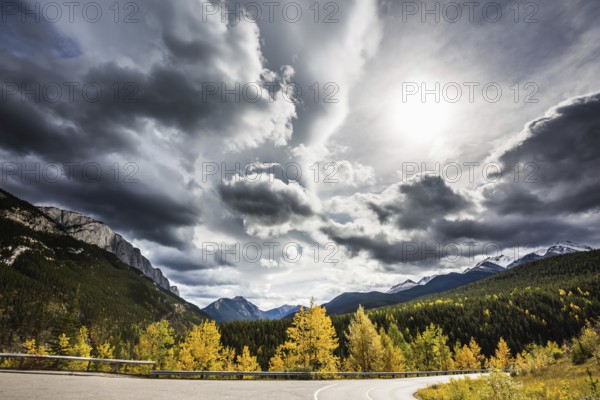 The road bends sharply in the woods. Perfect storm sunset over the Rocky Mountains