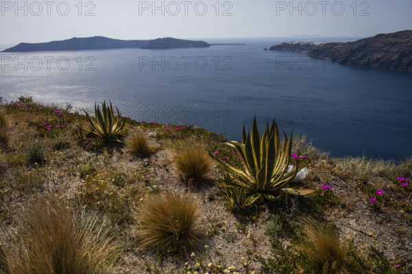 Landscape of the Caldera, Island of Santorini (Thira), Cyclades, Greek Islands, Greece