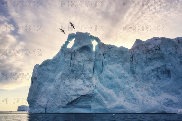 Greenland Ilulissat glaciers at ocean at polar night with birds