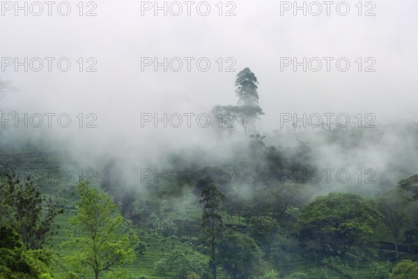Central plateau in Sri Lanka. The cloudy mountains are covered with meadows and rain forest and alternate with mountain villages and tea plantations. Dark winter day