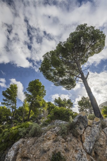 Majorca Northern coastal route