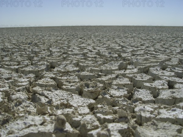 Etosha Pan, Namibia