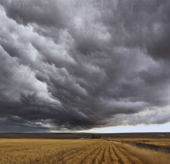 Thunderstorm above fields after harvesting. Montana, the USA