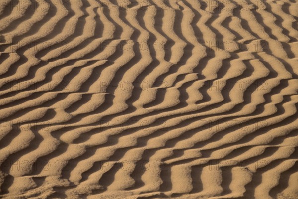 Background of sand dunes in Sahara desert