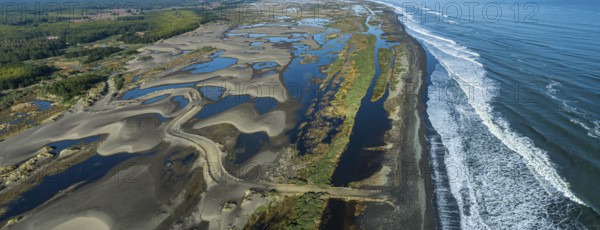 Whetland nea ocean in seventh region Maule in Chile