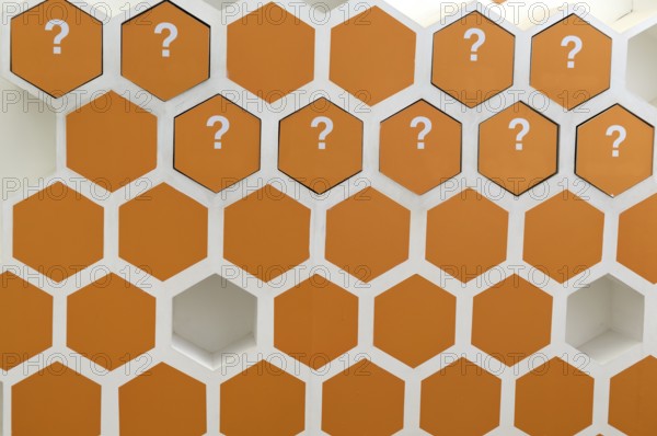 Storage room, stylized honeycomb