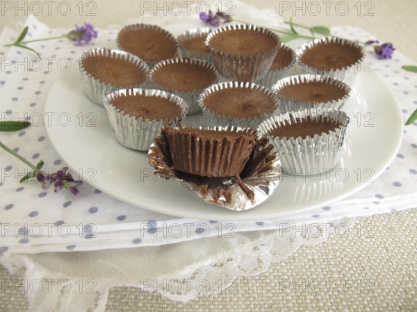 Homemade ice cream confectionery with cocoa, icing sugar and coconut oil in aluminium moulds