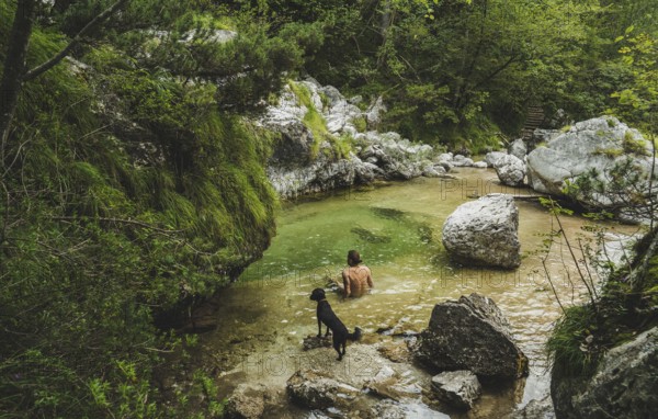 Belluno, Veneto, Italy, A person and a dog discover a small river among rocks and trees