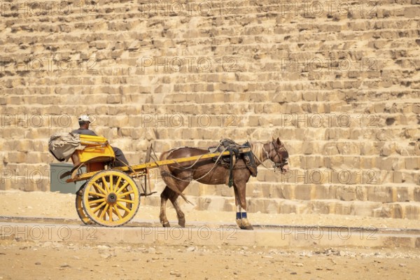 An image of a horse driver at the pyramids of Giza Cairo Egypt waiting for a tourist