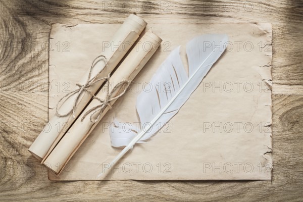 Medieval parchment paper scrolls feather on wooden board
