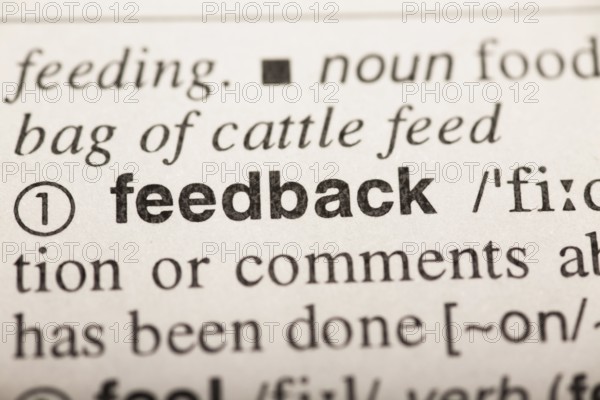 Feedback, word in dictionary. macro shot. selective focus