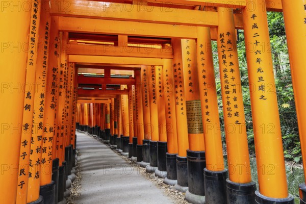 Kyoto, Japan - May 15 2019: Red Tori Gate at Fushimi Inari Shrine in Kyoto, Japan. One of the largest tourist attractions in Japan