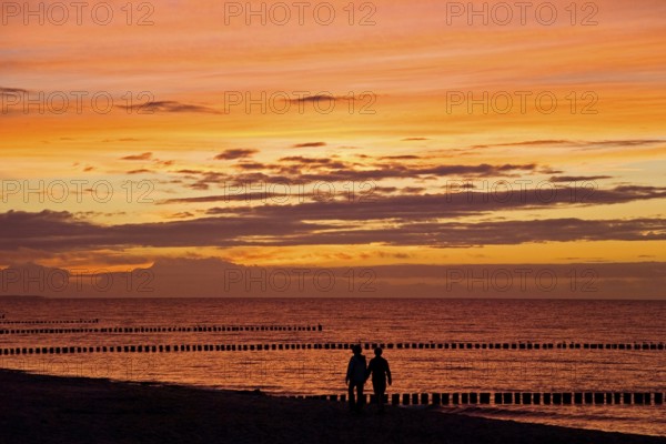 Couple talking a walk at the beach at sunset