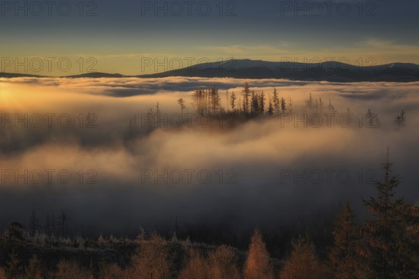 Fog in the foothills of the High Tatras at sunrise near Strbske pleso in Slovakia