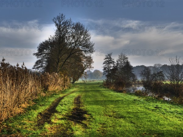 Quiet country lane leads through green meadow and trees under a slightly cloudy sky, Borken, münsterland, germany