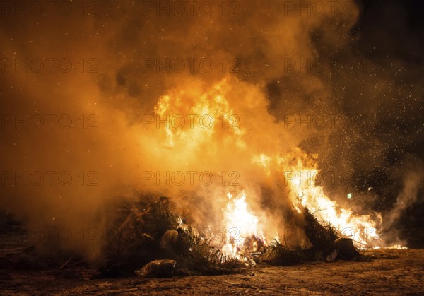 Waste incineration. Burning of trash and old trees