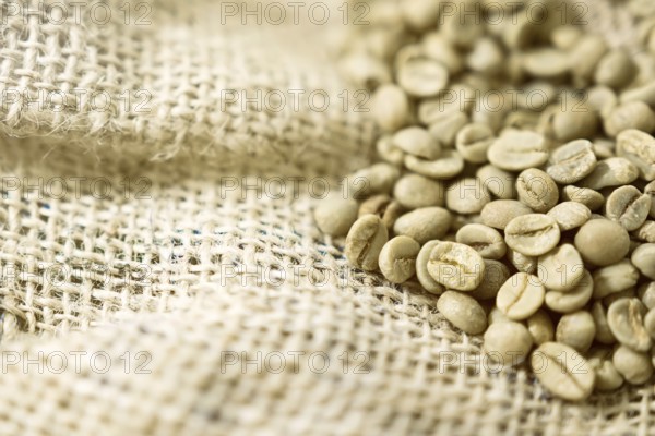 Green unroasted Coffee Beans in a sack