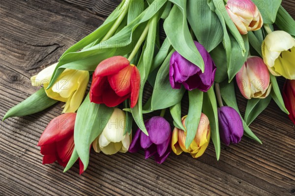 Colorful tulips on wooden table