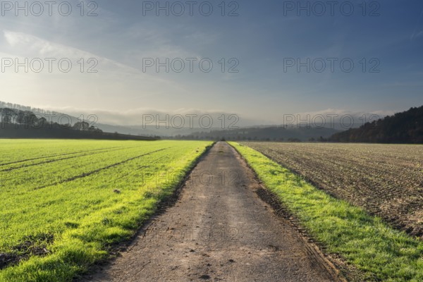 Path, straight ahead, Oberweser, Germany, German