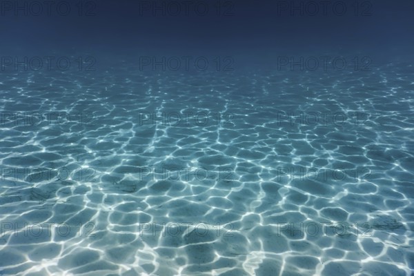 Sandy sea bottom Underwater background