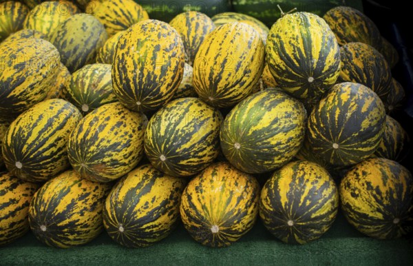 Beautiful tasty ripe melons at the market