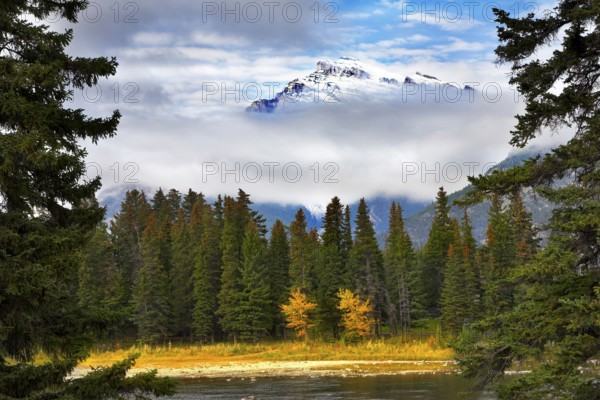 Northern wood and the river on a background snowed up mountain in clouds. More magnificent pictures from the American and Canadian National parks you can look hundreds in my portfolio. Welcome!