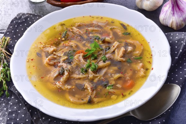 Traditional Politur-style tripe soup with beef and vegetables