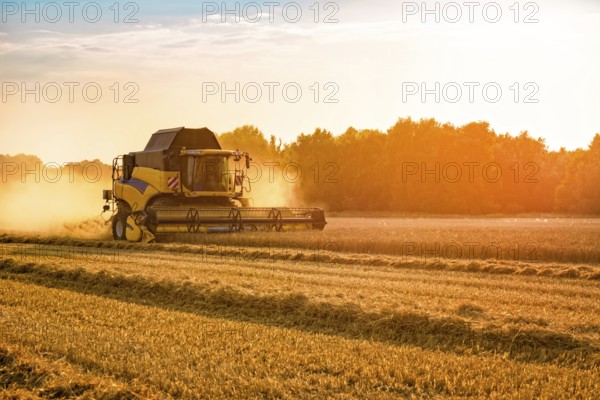 Big combine harvester threshing in the sunset