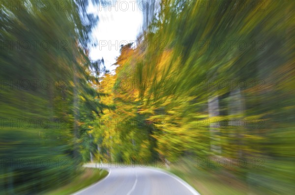 Speed on the street with autumnal surroundings and colourful leaves. Motion on the street in autumn time