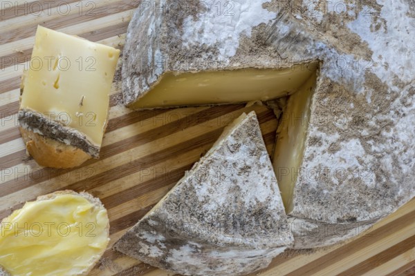 Tomme de Savoie, semi-soft cowmilk cheese with typical mould rind. French semi-soft cowmilk cheese with typical mould