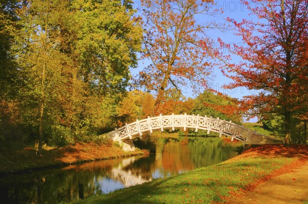 Wörlitz White Bridge Park, English grounds of Wörlitz White Bridge 08