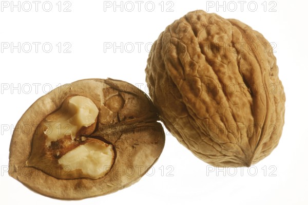 Walnut
