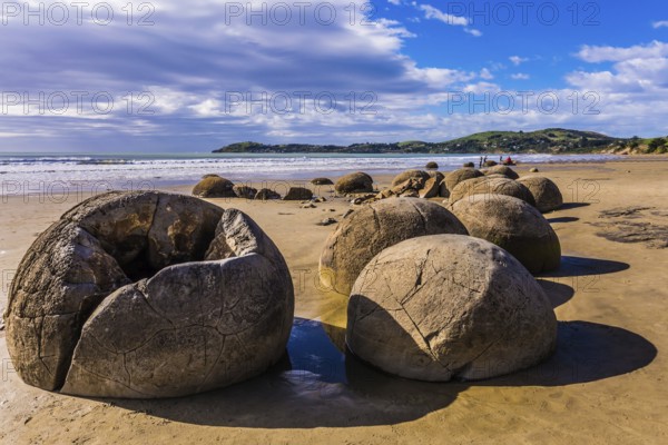 Travel to New Zealand. Boulders Moeraki - a group of large spherical boulders on the beach Koekokhe. The concept of active, eco and photo - tourism