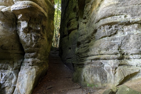 Hiking trail in sandstone cliffs, Mullerthal Trail, Berdorf, Luxembourg