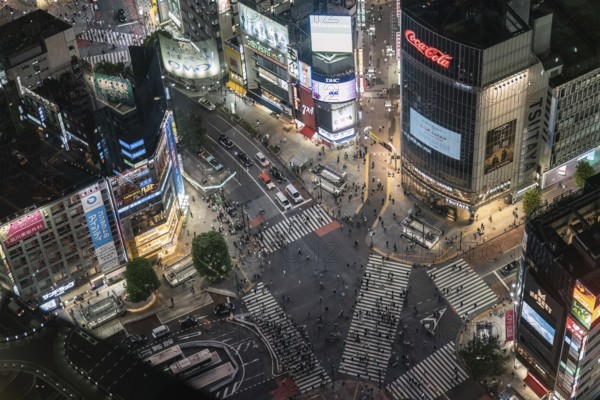 Crossroads in Shibuya in the evening from above. Numerous monitors and advertising signs illuminate the streets as people cross the intersection