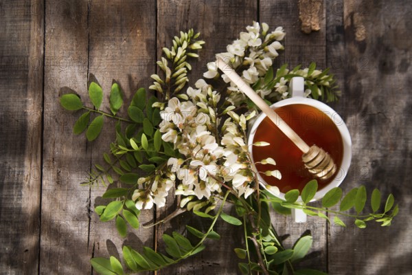 Presentation of small container with acacia honey with its flower