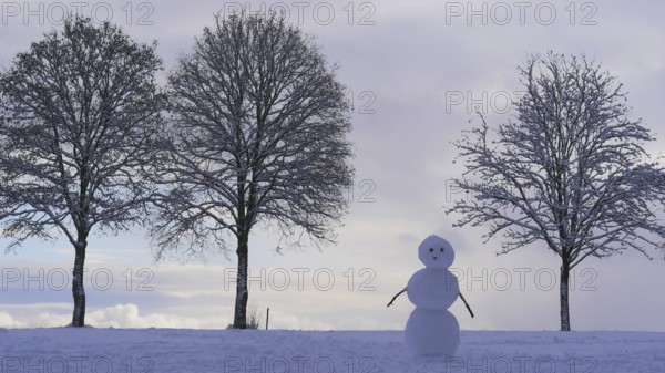 Snowman with trees