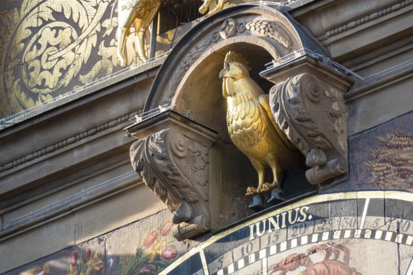 An image of the golden rooster at town hall Heilbronn astronomical clock