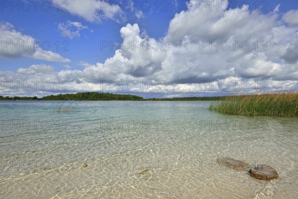 Landscape with a lake with transparent clay bottom near St. Petersburg. Sunny summer day