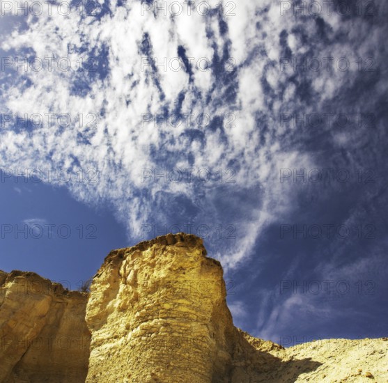 Stone desert near to canyon En-Avdat in Israel