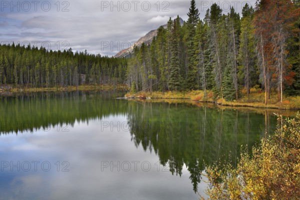 A smooth surface of the lake, surrounded by dense northern wood