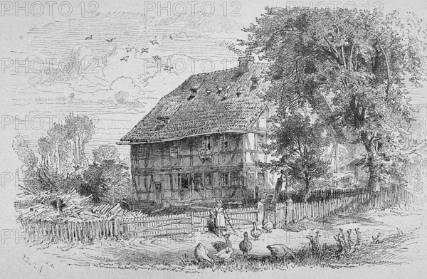 Illustration, agriculture, cultivation, outdoor, farmer, farm, biology, depiction, garden gardening, gardening, historical, illustration, farmyard, copper engraving, art, farming, farmer, farm, outdoor, steel engraving, engraving, environment, drawing, drawn, farmhouse, plant, plants, natural habitat, rural
