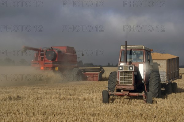 TIMARU, NEW ZEALAND, CIRCA FEBRUARY 2010: Farmers harvest a crop of wheat, South Canterbury, New Zealand