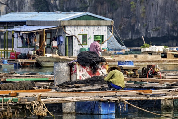 Fishermen work on a floating platform in front of a house on calm waters surrounded by steep cliffs, The floating villages in Halong Bay, Vietnam